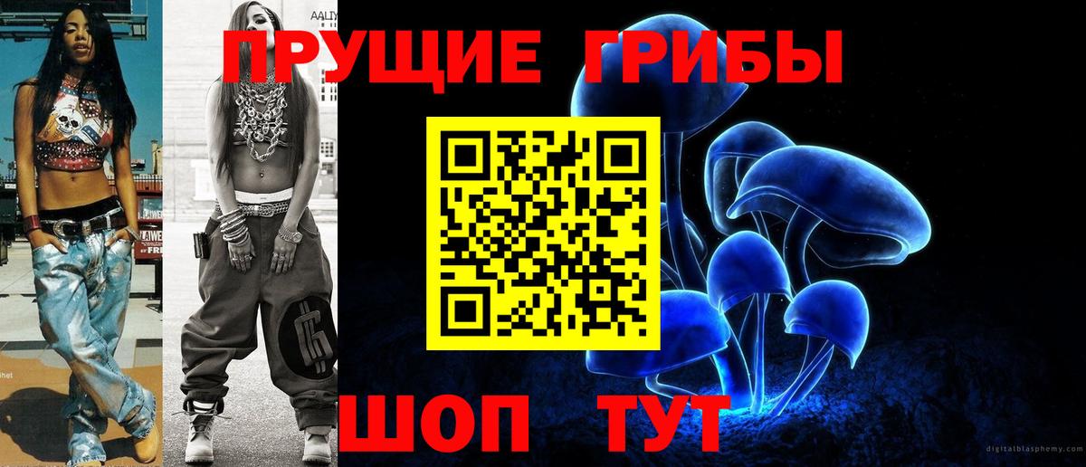 Галлюциногенные грибы Psilocybine cubensis Кемерово