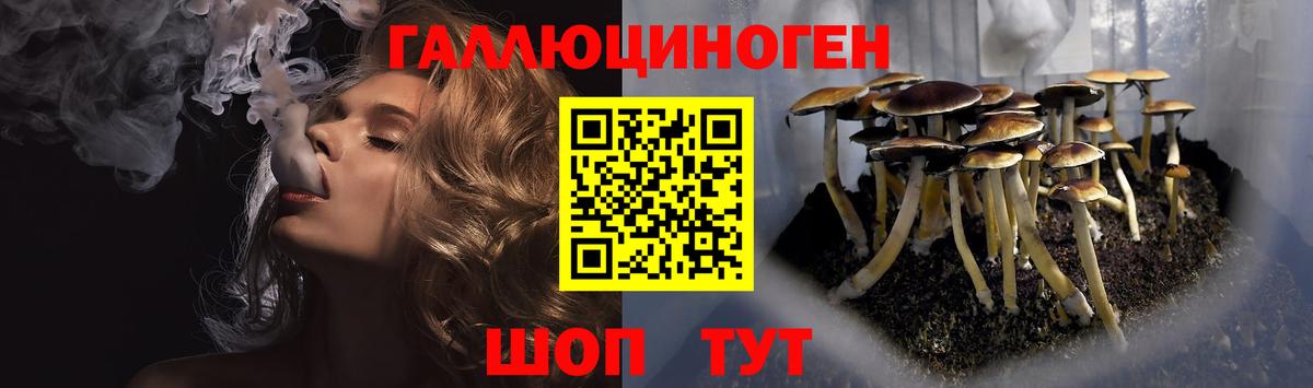 Кемерово  Галлюциногенные грибы Psilocybine cubensis  продажа наркотиков  Вход с VPN 