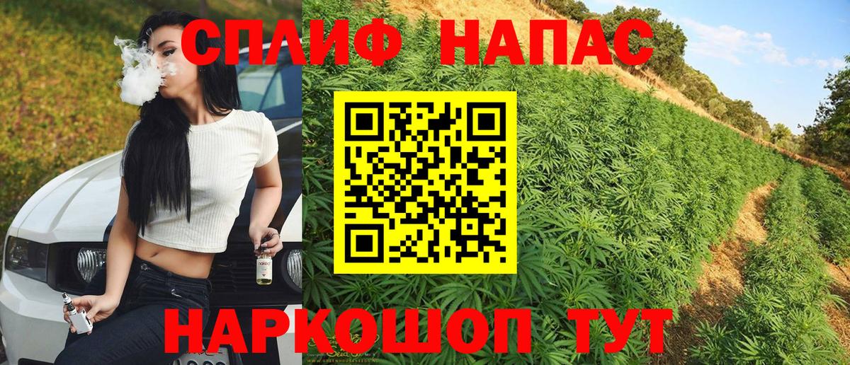 Каннабис семена Кемерово